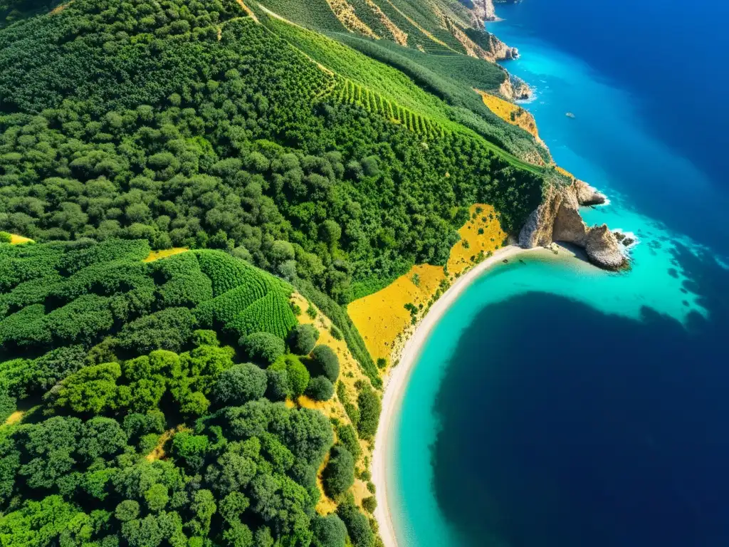 Vista aérea de los variados ecosistemas en Sicilia Mediterráneo: bosques verdes, colinas doradas y el azul del mar