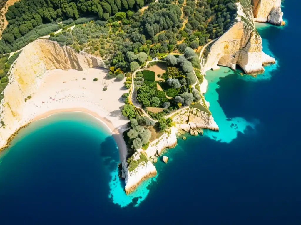 Vista de la costa mediterránea con la historia y evolución de sus ecosistemas, desde antiguos olivos hasta modernos desarrollos