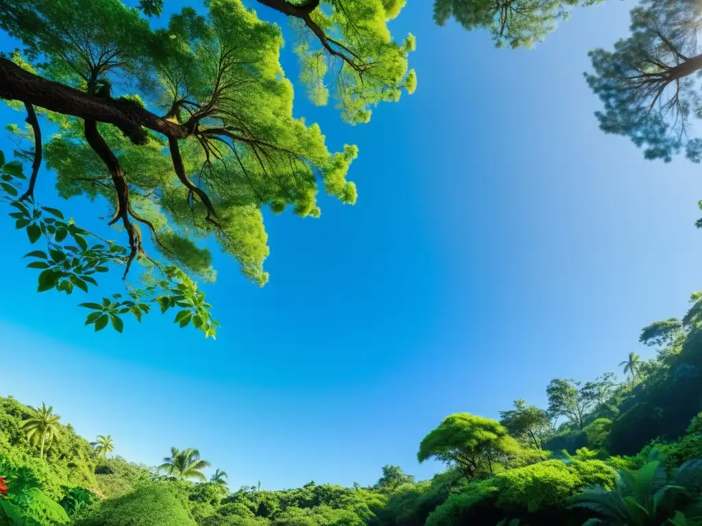 Vista impresionante de un ecosistema diverso y exuberante con una variedad de especies vegetales y animales, bajo un cielo azul