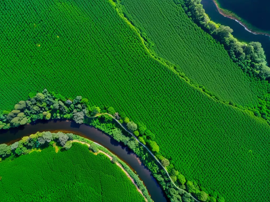 Vista impresionante de un frondoso bosque desde un satélite geoestacionario, capturando la belleza y complejidad del ecosistema